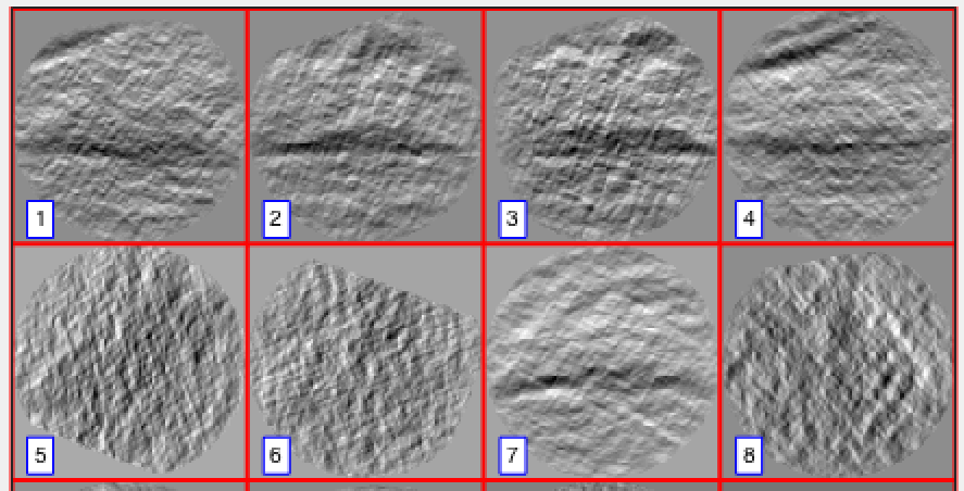 Borrelia set particle example.png