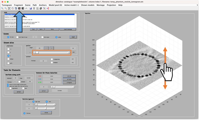 File:Vesicle-step-3.png
