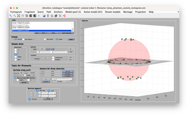 Vesicle-step-7.png