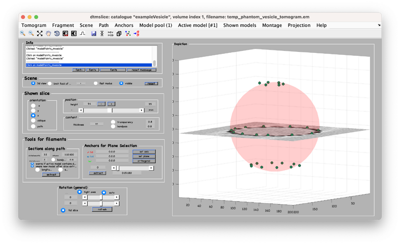 File:Vesicle-step-7.png