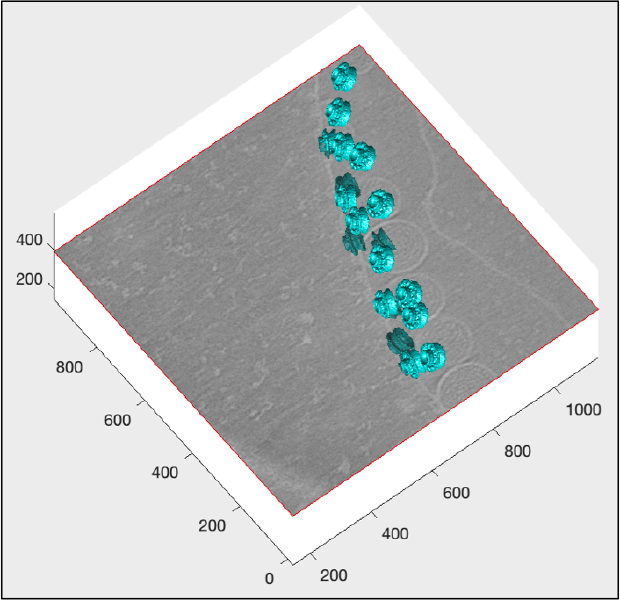 File:Fhv3dTrisurfColormapCyan.png
