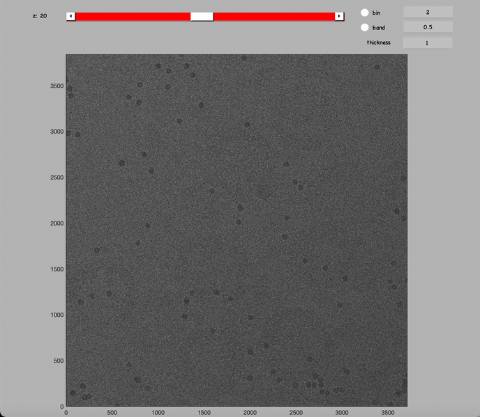 File:Dshow HIV1 raw.png