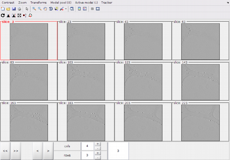 File:MontageMembranesMontage.png