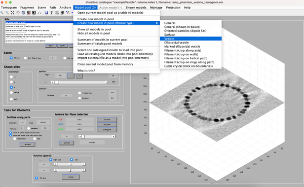 Vesicle-step-4.png