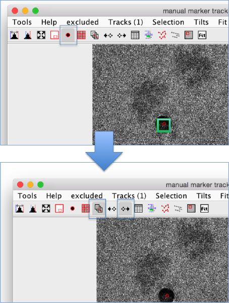 File:ManualAlignmentSetGoldBead.png