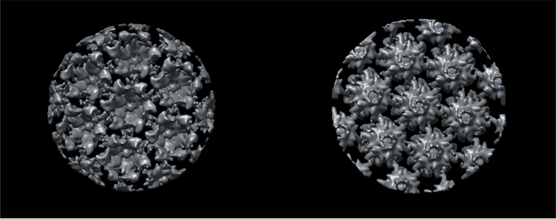 File:Isosurface-final-structure-density-map-chimera.png