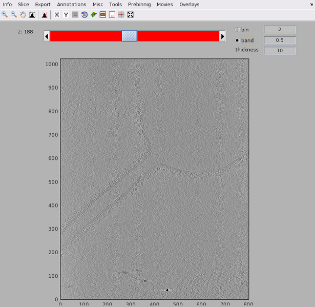File:Tomogram dshow TM.png