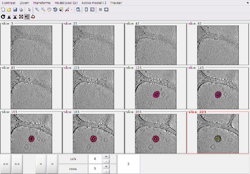 File:MontageMembranesZoomOutAfterFirst.png