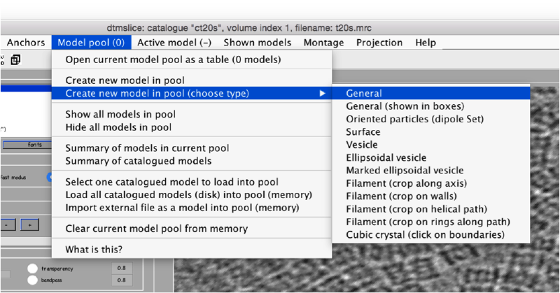 File:TemplateMatchingTomosliceModel.png