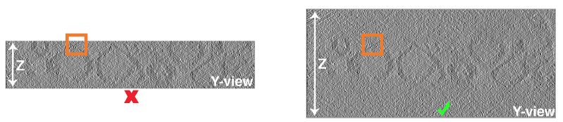 File:Tomogram thickness.jpg