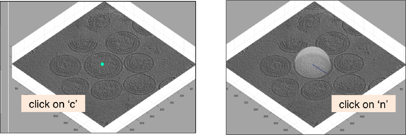 File:HivClickDipole.png