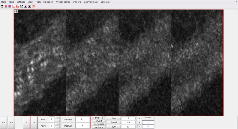 File:SingleChunks multiple CC.png