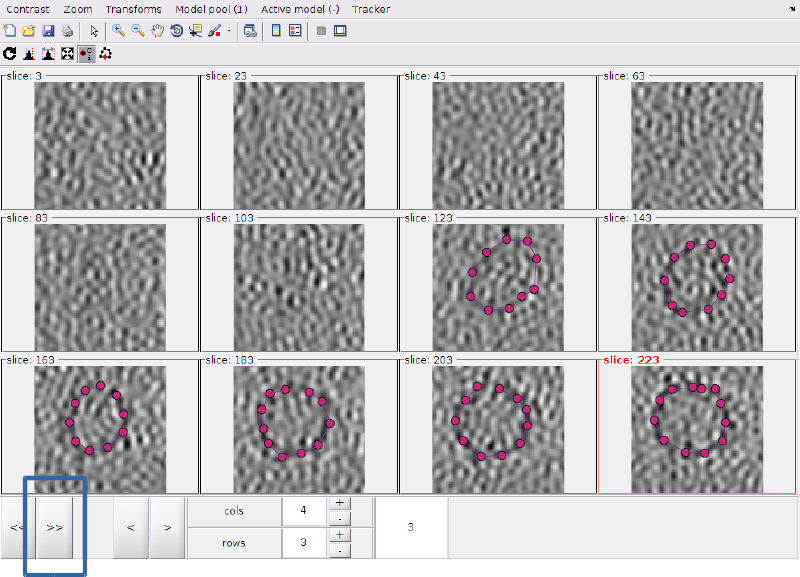 File:MontageMembranesLocateFirstLocalContinue.png