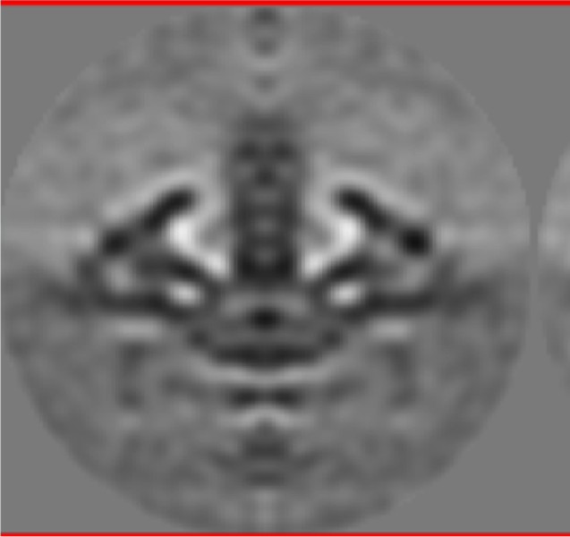 File:Borrelia set average.png