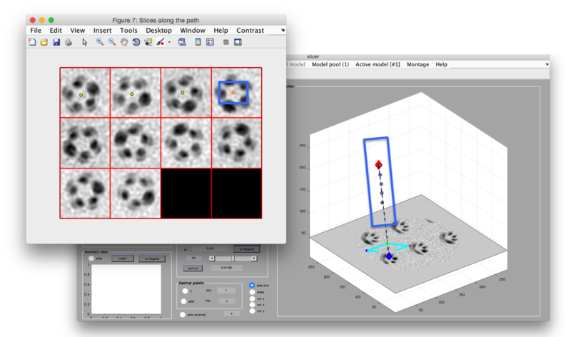 File:FilamentUpdatePointsThroughSliceClick.png