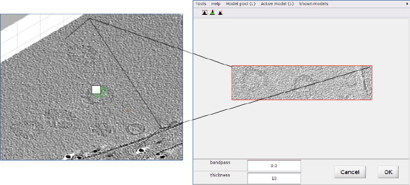 File:SlicerObliqueView.png