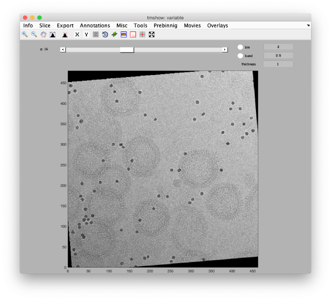 File:AlignGUI binnedAlignedTiltStack.png