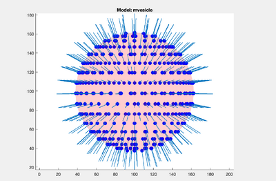 Vesicle-step-11.png