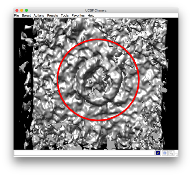 File:FhvZRandomizedChimera.png