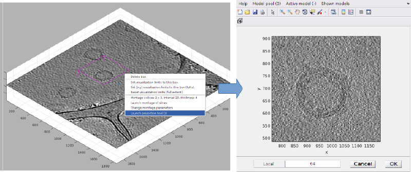File:DtmsliceBoxProjection.png