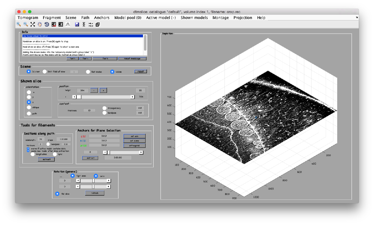 File:FhvTomosliceOpen.png - Dynamo
