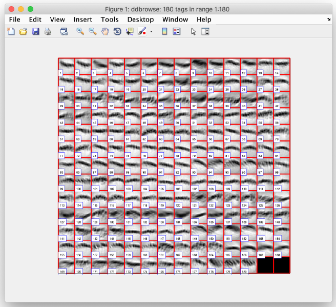 File:Membrane step 23.png