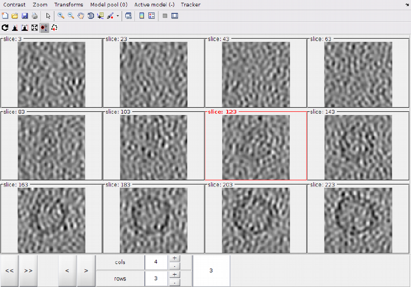 File:MontageMembranesLocateFirstLocal.png