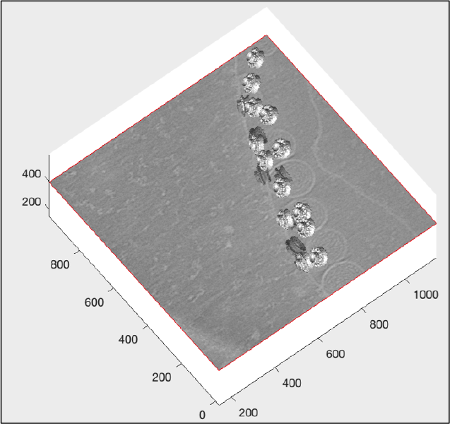 File:Fhv3dTrisurfLighting.png