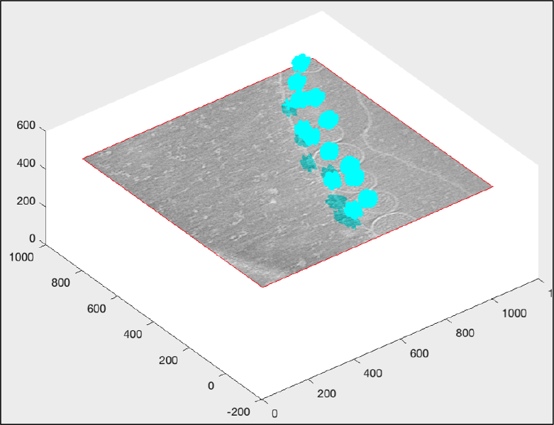 File:Fhv3dTrisurfNoEdges.png