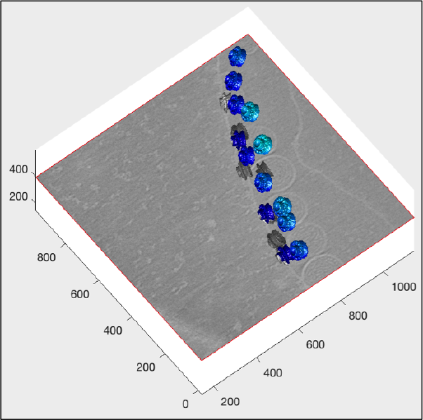 File:Fhv3dTrisurfColormap.png
