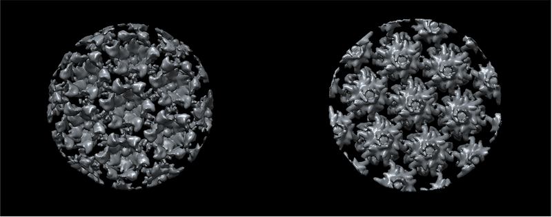 File:Isosurface-final-structure-density-map-chimera-sta.png