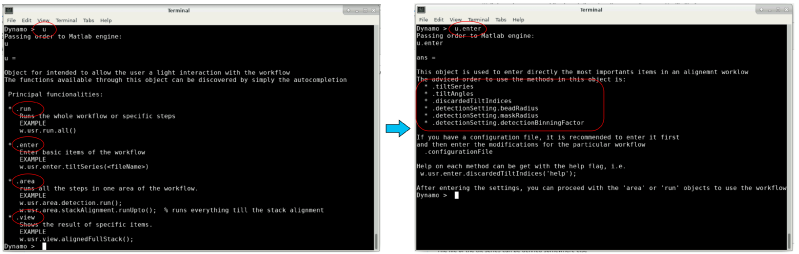 File:AlignCommandLine autocompletionOfUserObjectEMBO2021.png