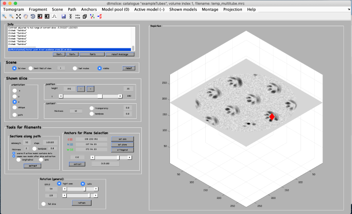 Filament step 4.png