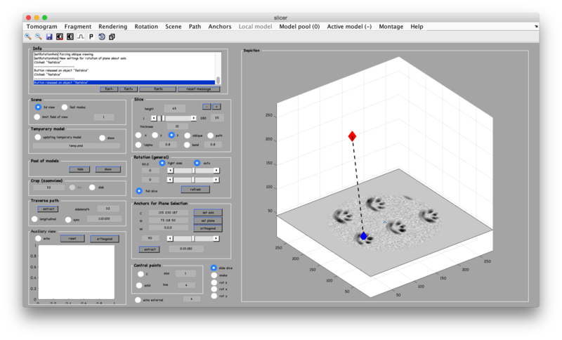 File:FilamentAnchor2.png