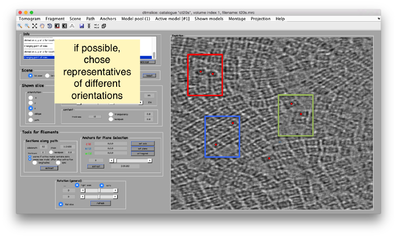 File:TemplateMatchingTomoslicePick.png