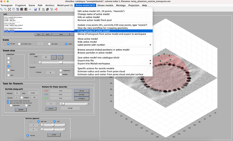 File:Vesicle-step-12.png