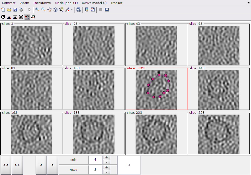 File:MontageMembranesZoomedFirstSelection.png