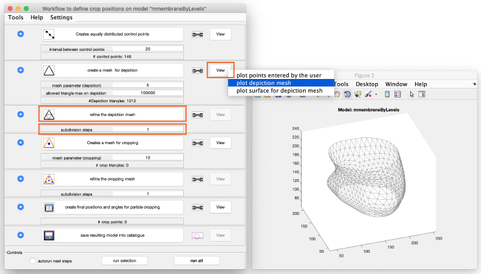 Membrane step 14.png