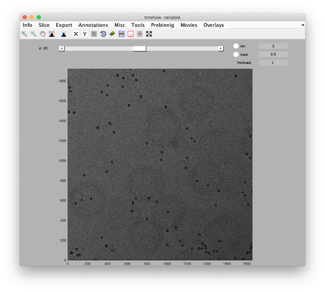 File:AlignGUI openTomoshowOnTheFullSizedMatrixToCheckTheSizeOfAGoldBead.png