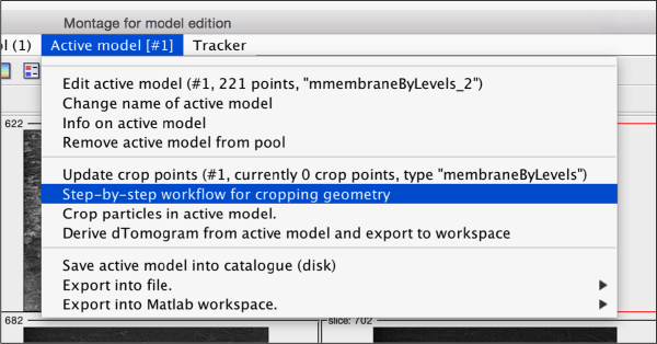Advanced starters guide - Dynamo