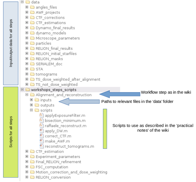 File:Folder structure HIV1.png