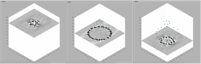 File:Vesicle-step-5.png