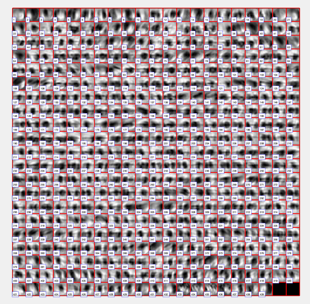 File:Vesicle-step-16.png