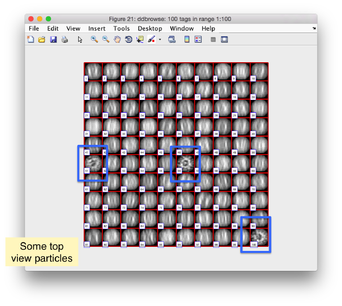 File:TemplateMatchingDDBrowseZAligned.png
