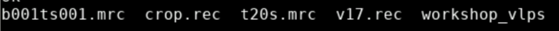 File:Embo files.png