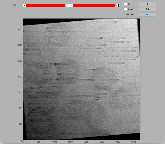 File:Av ali ts1.png