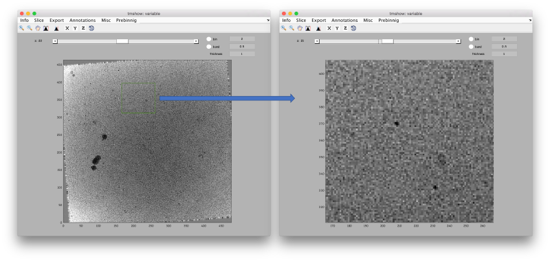 File:LocalizedProjectionDtmshowBinnedZoomed.png