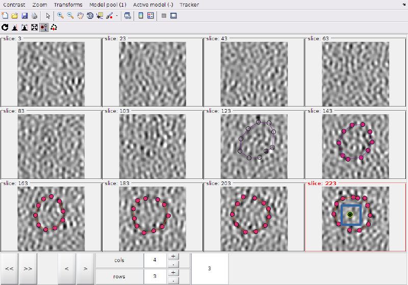 File:MontageMembranesCenter.png